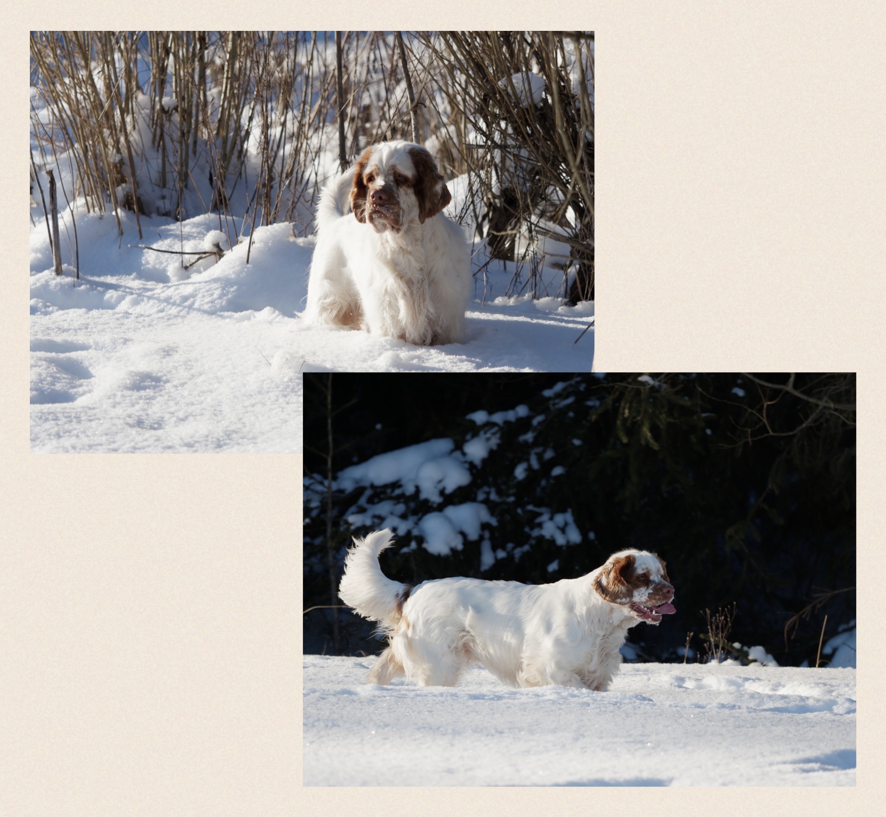 Kuvat: Kari Jurvanen