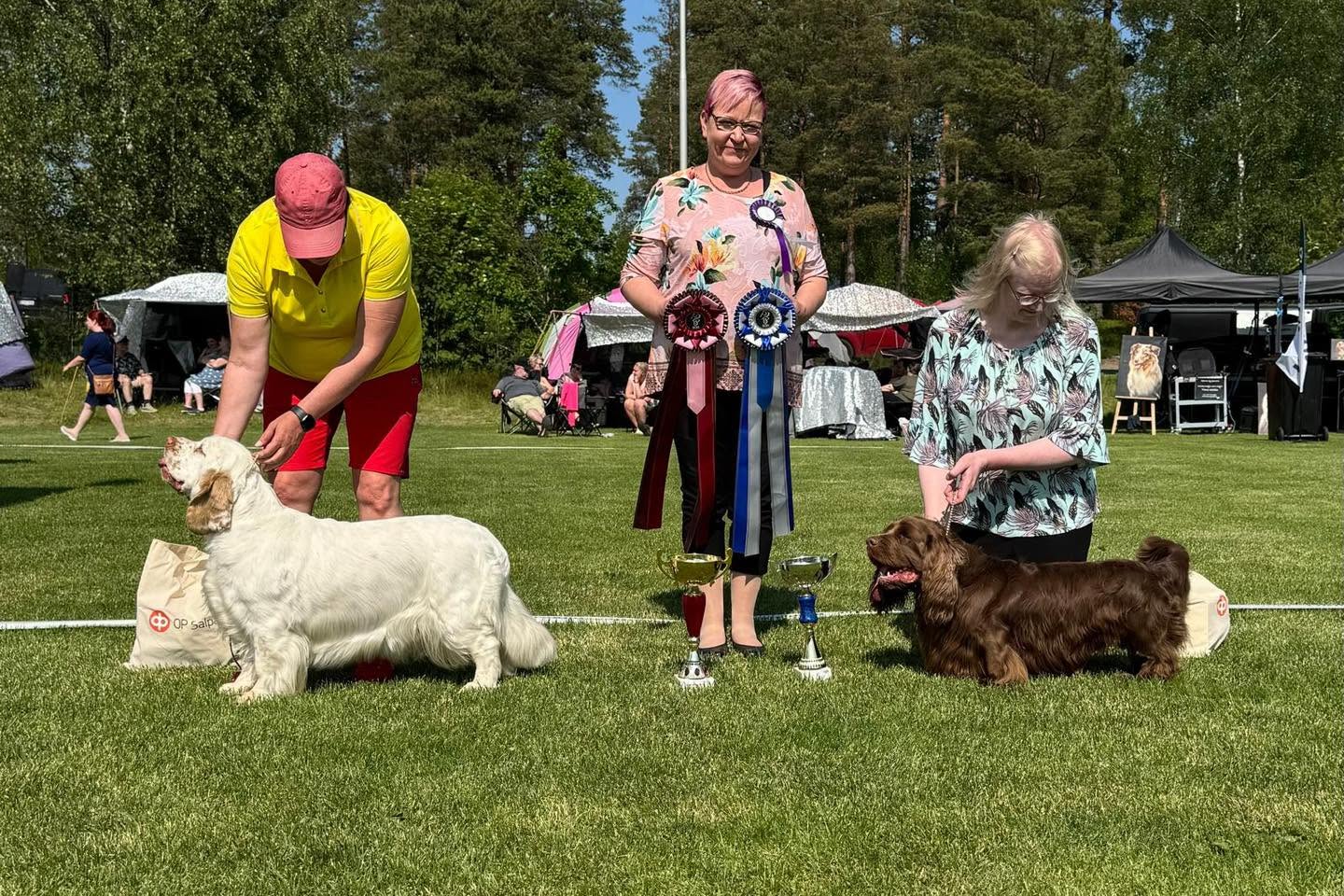 Best In Show