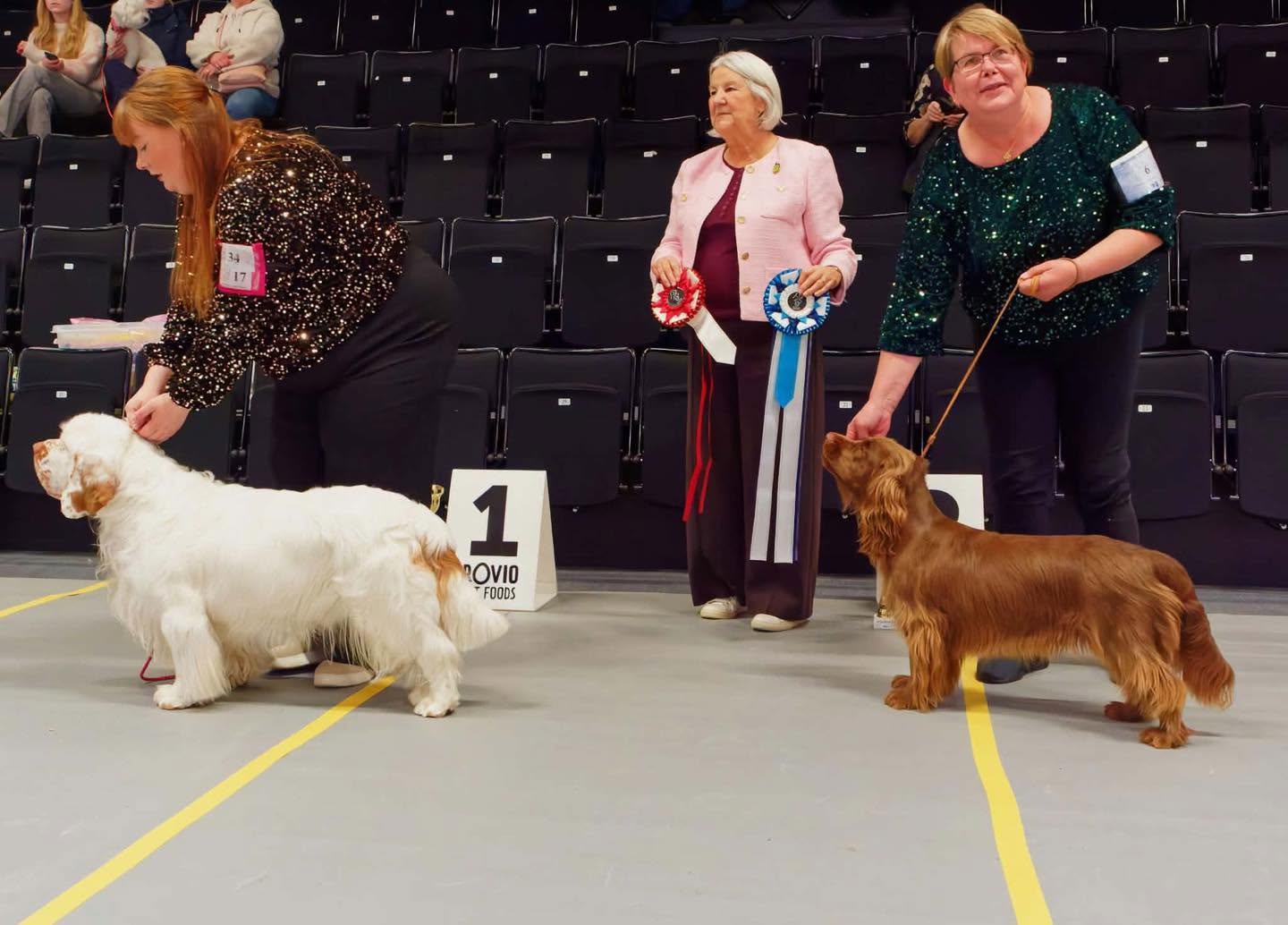 Best In Show